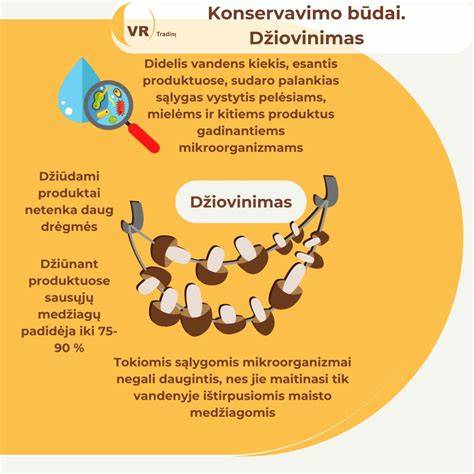 Infografika: Džiovinimo būdų palyginimas (natūralus, konvekcinis, vakuuminis)
