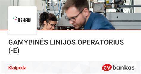 Gamybinės linijos schema ir kokybės kontrolė