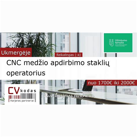 Infografika: Medžio apdirbimo staklių saugumo principai