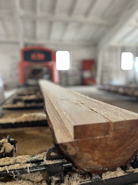 statybinės medienos pjovimas