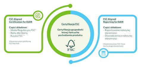 FSC sertifikato schemos infografika