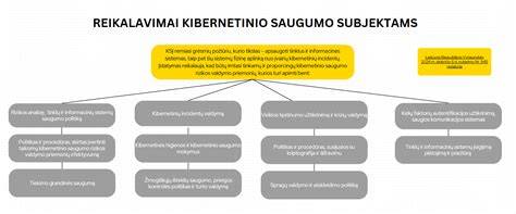 Tarptautinės saugumo operacijų schema