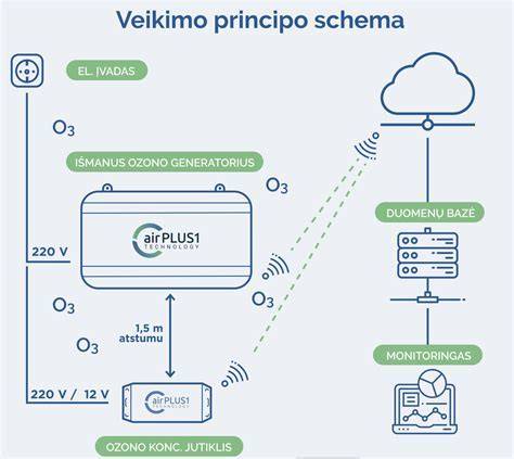 Infografika apie slapukų veikimą ir Pixel žymos tikslus