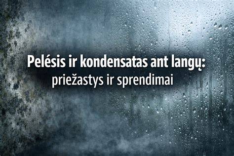 Stiklo langų sandarumą užtikrinantys sprendimai