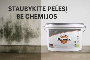 Pelėsio ir kondensato prevencija naudojant aukštos kokybės garų barjerą