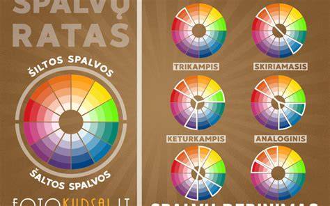 Spalvų rato žemėlapis su derinimo pavyzdžiais