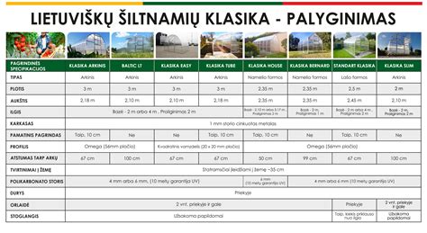 Palyginimo lentelė: paviršinis vs giluminis impregnavimas