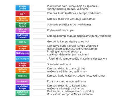 BLANK Infografika: alkūnės kampai ir spinduliai