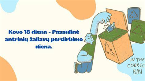 Infografika: Atliekų surinkimo ir perdirbimo grandinė