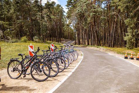 Rokiškio dviračių ir pėsčiųjų takų tinklas