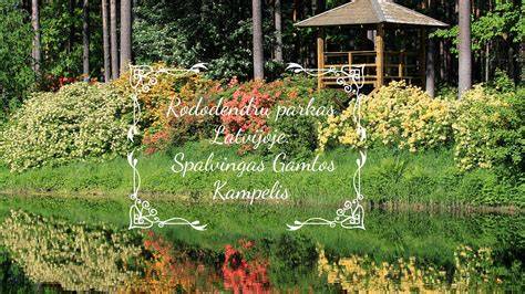 Gamtos kampelis ir ramybės zona