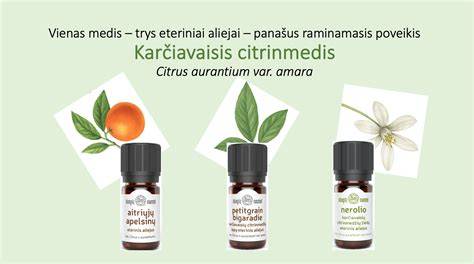 Kvapų neutralizatoriaus veikimo schema: išsklaida, absorbcija, aromato paskirstymas