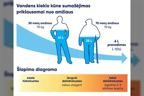 infografika apie skirtingus vandens tipus medienoje: laisvas vanduo, adsorbuotas vanduo, cheminis vanduo