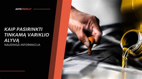 Infografika: kaip pasirinkti tinkamą užpildymo medžiagą ir metodą