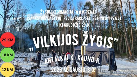 Infografika: Aliuminio litavimo procesas - nuo oksido pašalinimo iki galutinės jungties