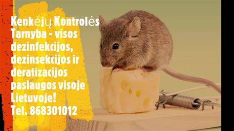 Kenkėjų biologinės kontrolės vaizdas