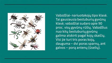 Medienoje gyvenantys vabzdžiai ir jų požymiai (iypatinga infografika apie kenkėjų požymius)