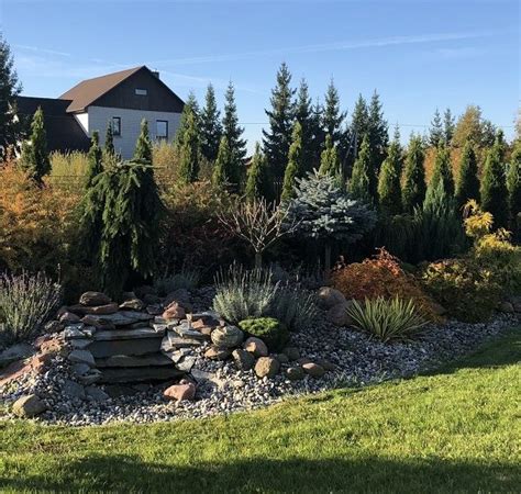 Sodybos lauko apželdinimas