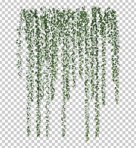 https://example.com/images/fassade_ivy.jpg
