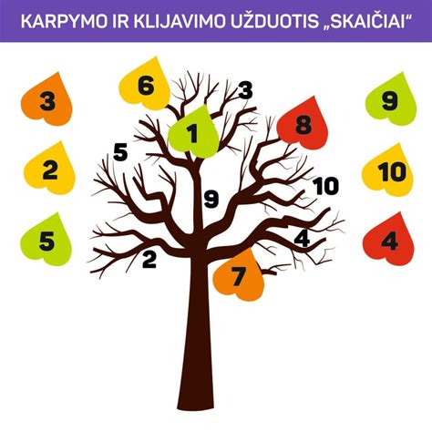 Infografika: paruošimo ir klijavimo eiga