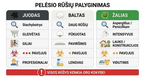 Pelėsio šalinimo priemonės ir jų veikimo zona