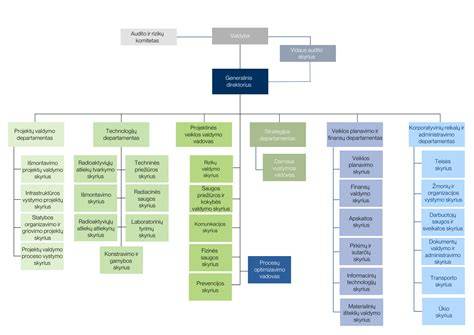 Infografika: Įmonės veiklos struktūra ir pagrindiniai projektai