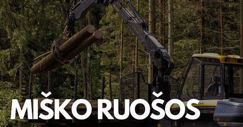 Miško atkūrimo ir medienos ruošos proceso infografika