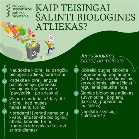 Infografika: kaip teisingai supakuoti asbesto šiferio atliekas