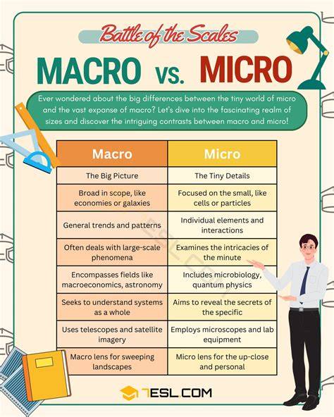 Diagrama: makro vs mikro fibros dydžiai ir jų paskirtis