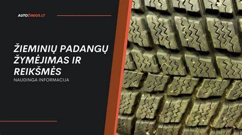 Žieminių padangų tipų palyginimo schema
