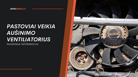 Infografika: Kaip veikia galvutės tarpiklis ir ką reiškia jos gedimas