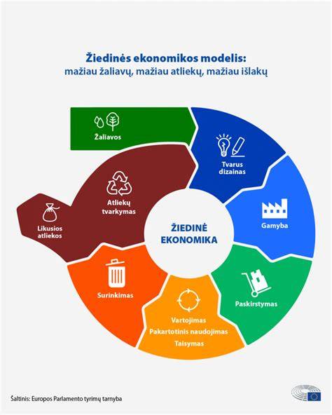 Infografika: Žiedinės ekonomikos principai medienos pramonėje