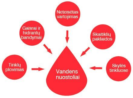 Skylių paieškos algoritmas vandentiekio tinkle (schemos pavyzdys)