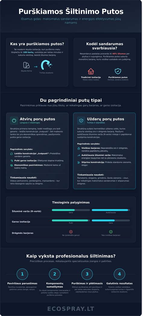 Infografika: purškiamos poliuretano putų šiltinimo procesas