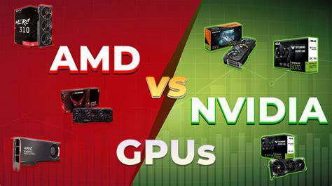 Grafikos plokštės pasirinkimo infografika: NVIDIA vs AMD sprendimų palyginimas