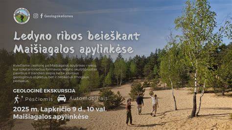Infografika: nuosėdinių uolienų rūšys ir jų susidarymo esmė