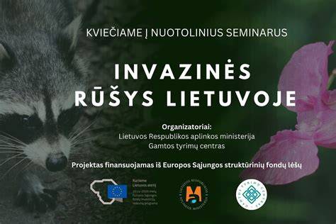 Infografika apie skardų dangų rūšis, storį ir atsparumą