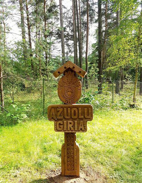 Vizualizacija: kamštinių ąžuolų giria ir žievės lupimo schema