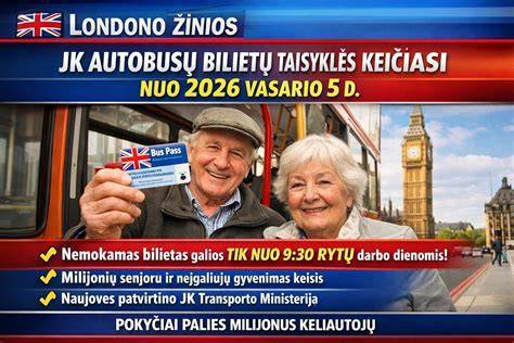Infografika: skirtingų virtuvės maišytuvų tipai ir jų pritaikymas