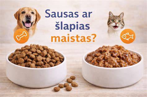 infografika apie ekovatos šiltinimo metodus: šlapias vs sausas vs klijinis