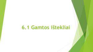 Infografika: Gamtiniai ir sintetinių gumų žarnų architektūra