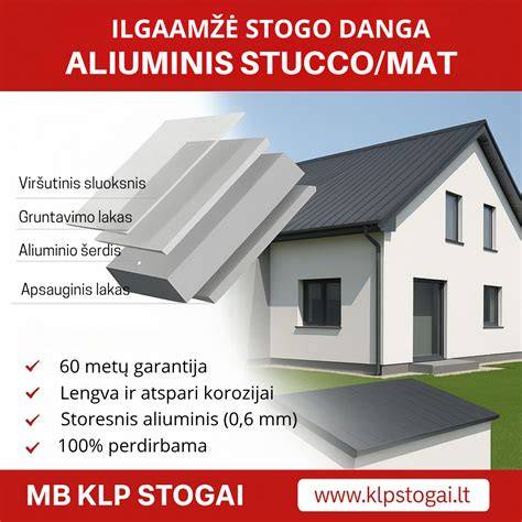 Koncepcijos schema: stogo danga ir ventiliacija ūkiniams pastatams