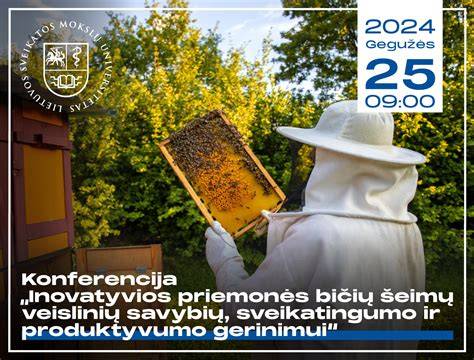 Pavaizduota produkto įtaka klijinių savybių gerinimui