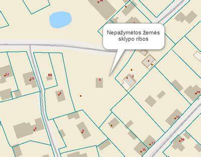 Infografika: Lentos grafikas apie minimalų atstumą nuo sklypo ribos, aukščio apribojimus ir leidimų poreikį