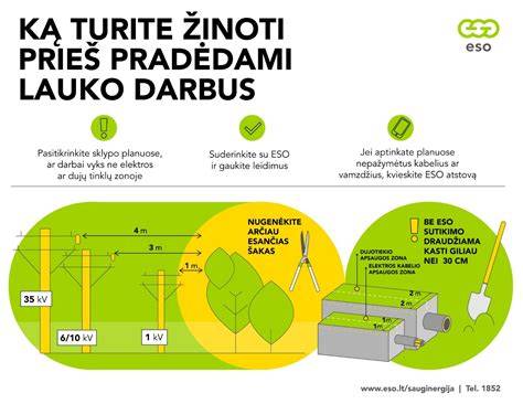 Infografika: Elektros tinklų apsaugos zonos ir tvorų įrengimo principai