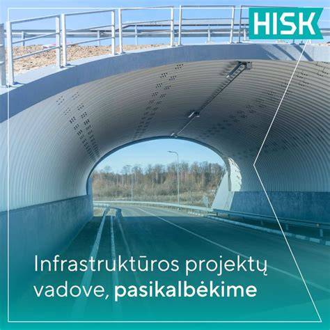 Projektų portfelio iliustracija: DEFCoRD, NANO CSM ir kt.