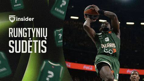 Infografika apie alkidinio grunto sudėtį ir naudojimo sritis