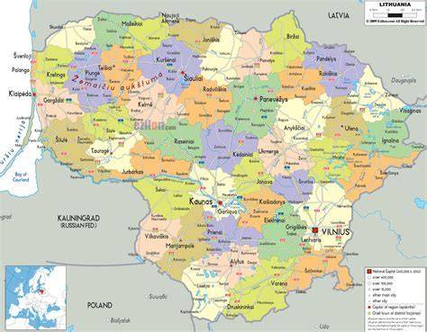 Infografika: Malkų kainų diapazonas, pristatymo zonos ir ilgio dydžiai