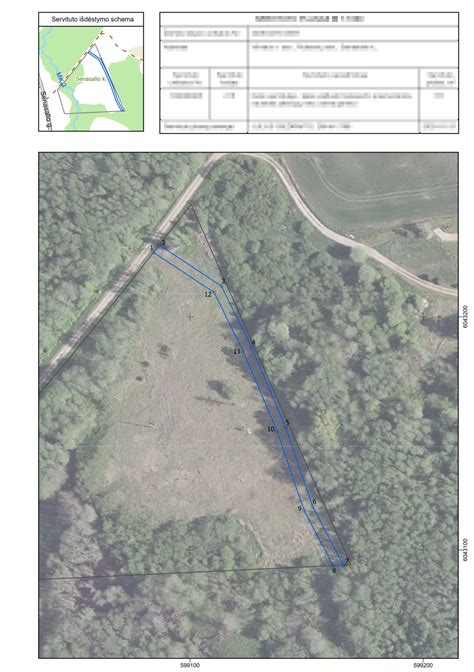 Infografika: kadastrinių matavimų procesas ir brėžiniai abrise
