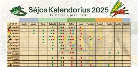 Infografika: priežiūros grafikas - kada tikrinti latakus ir nuolydžius